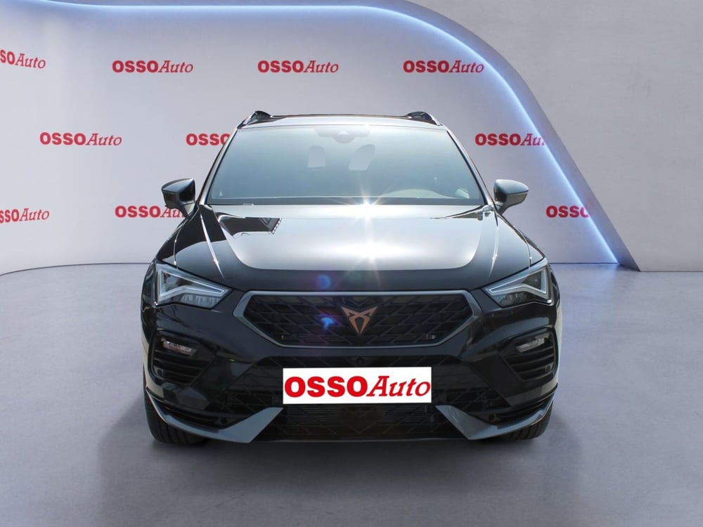 Cupra Ateca usata a Udine (5)