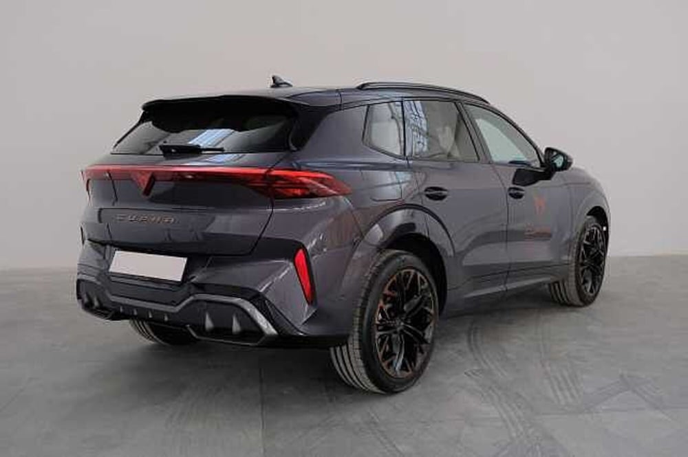 Cupra Terramar usata a Varese (4)
