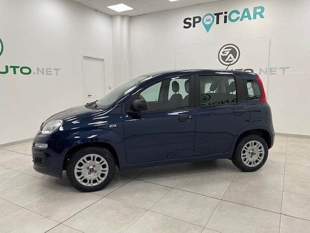 Fiat Panda usata a Alessandria (2)