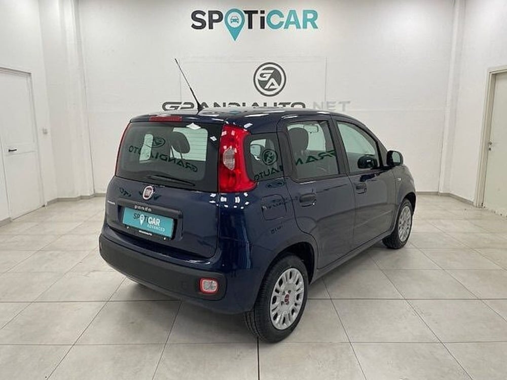 Fiat Panda usata a Alessandria (4)