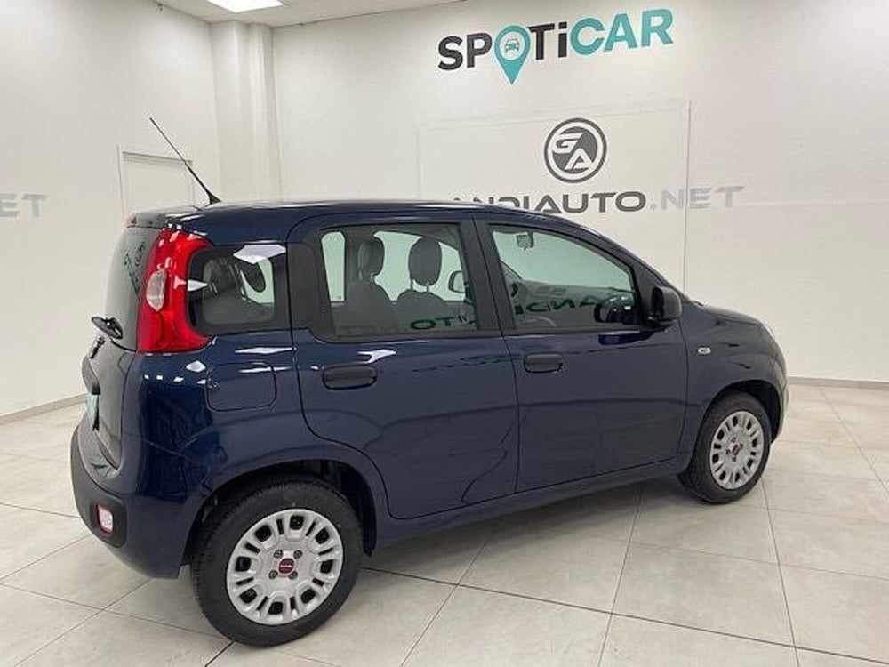 Fiat Panda usata a Alessandria (5)