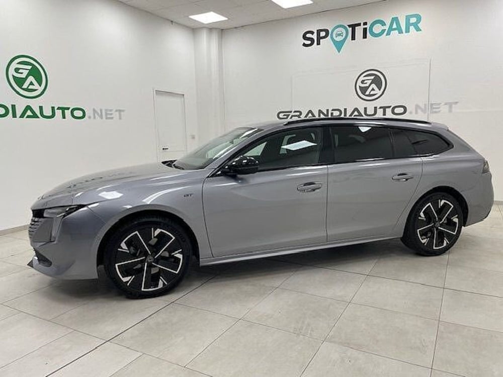 Peugeot 508 SW usata a Alessandria (2)