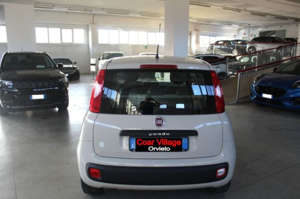Fiat Panda usata a Terni (5)