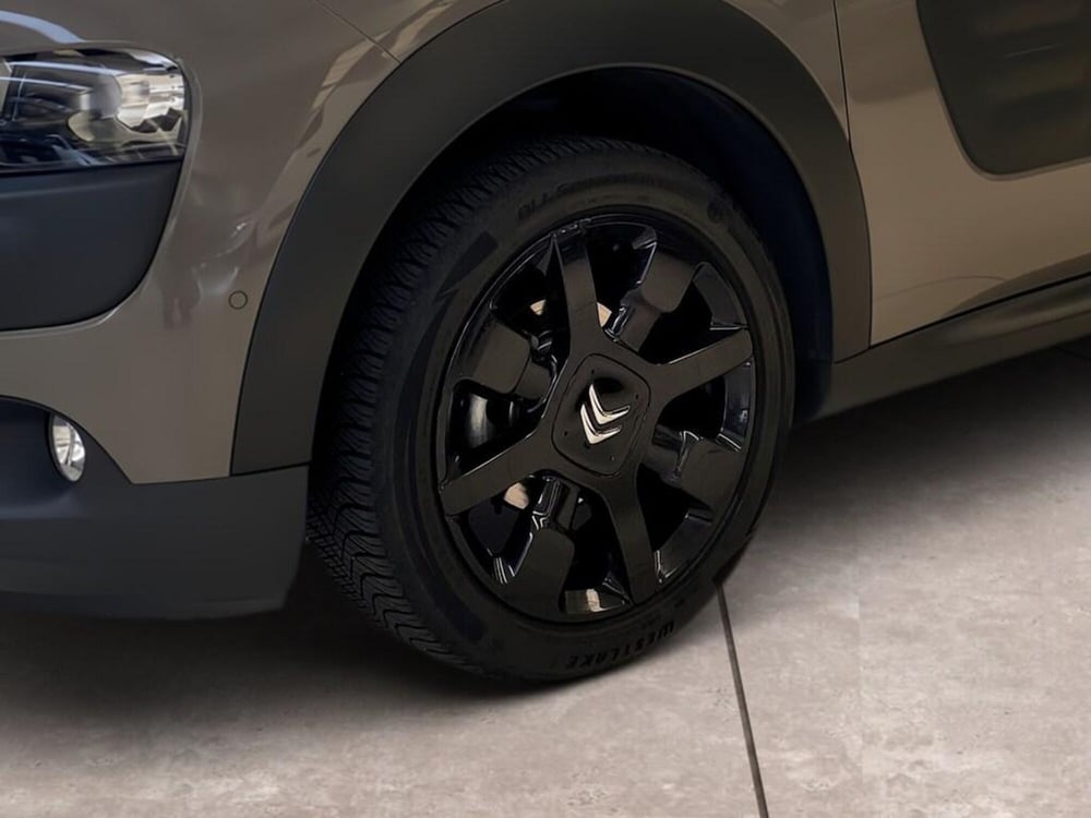 Citroen C4 Cactus usata a Torino (15)