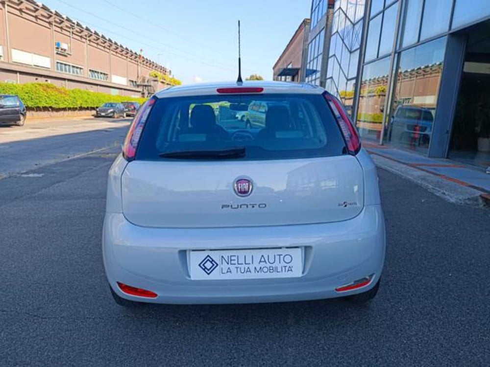 Fiat Punto usata a Pisa (18)