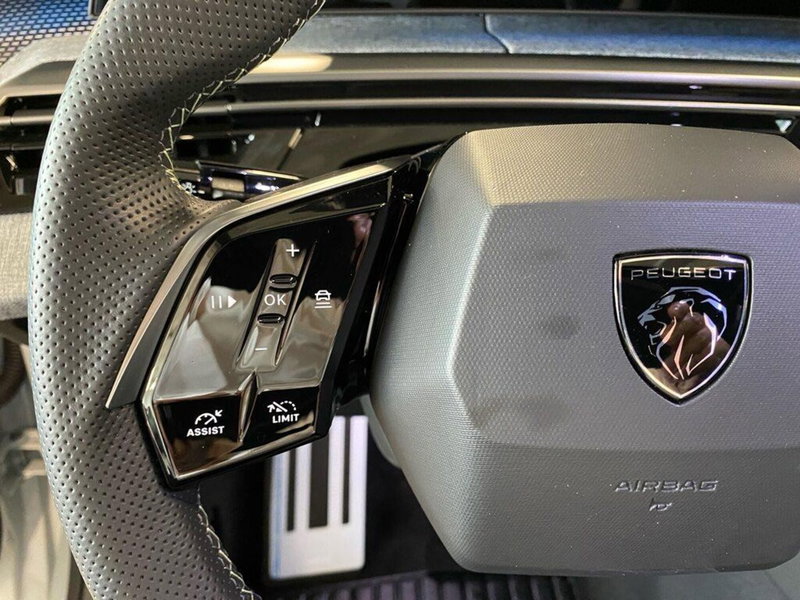 Peugeot 5008 usata a Torino (12)