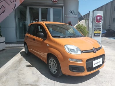 Fiat Panda 1.0 FireFly S&amp;S Hybrid del 2021 usata a Triggiano