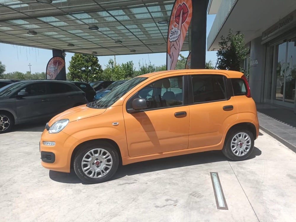 Fiat Panda usata a Bari (3)