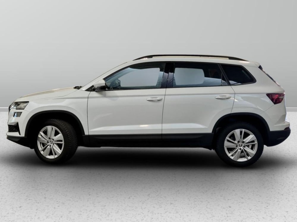 Skoda Karoq usata a Padova (2)
