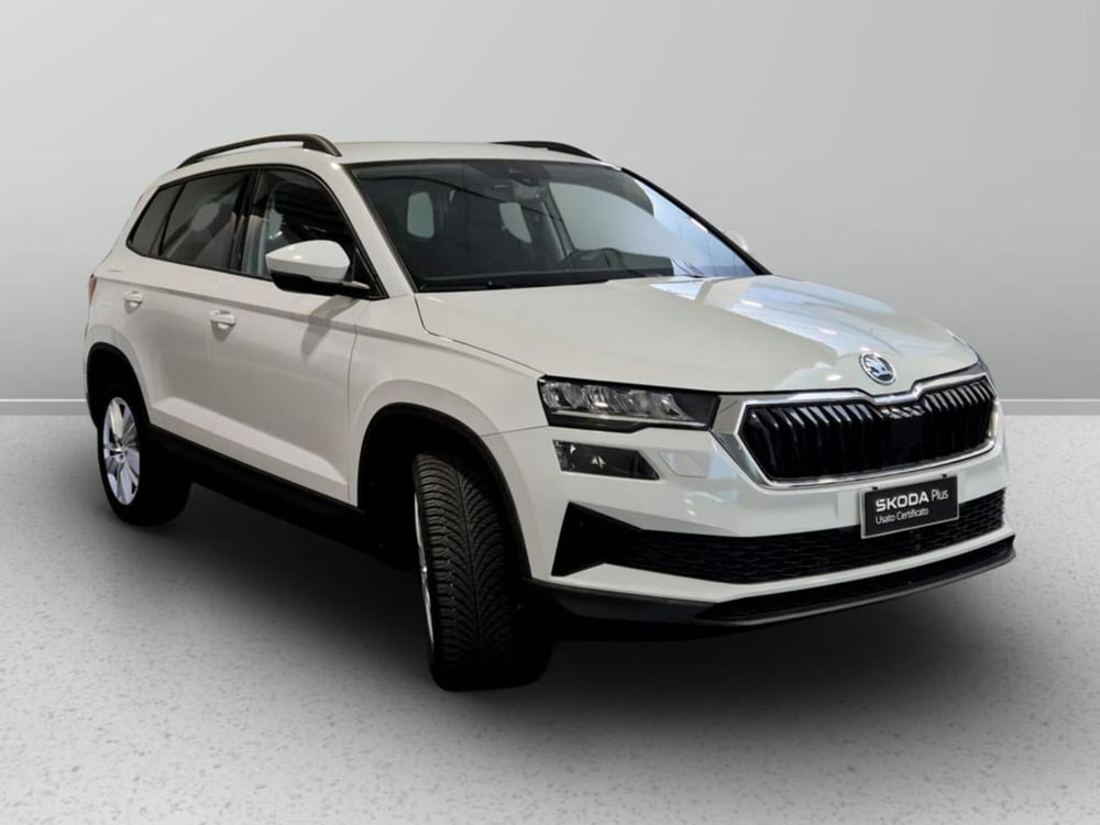 Skoda Karoq usata a Padova (6)