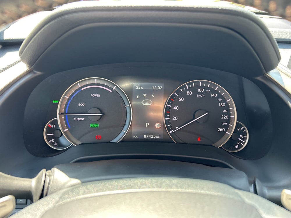 Lexus RX usata a Piacenza (15)
