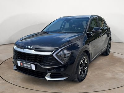Kia Sportage 1.6 CRDi MHEV Business del 2022 usata a Potenza