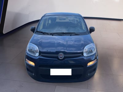 Fiat Panda 1.2 EasyPower del 2021 usata a Torino