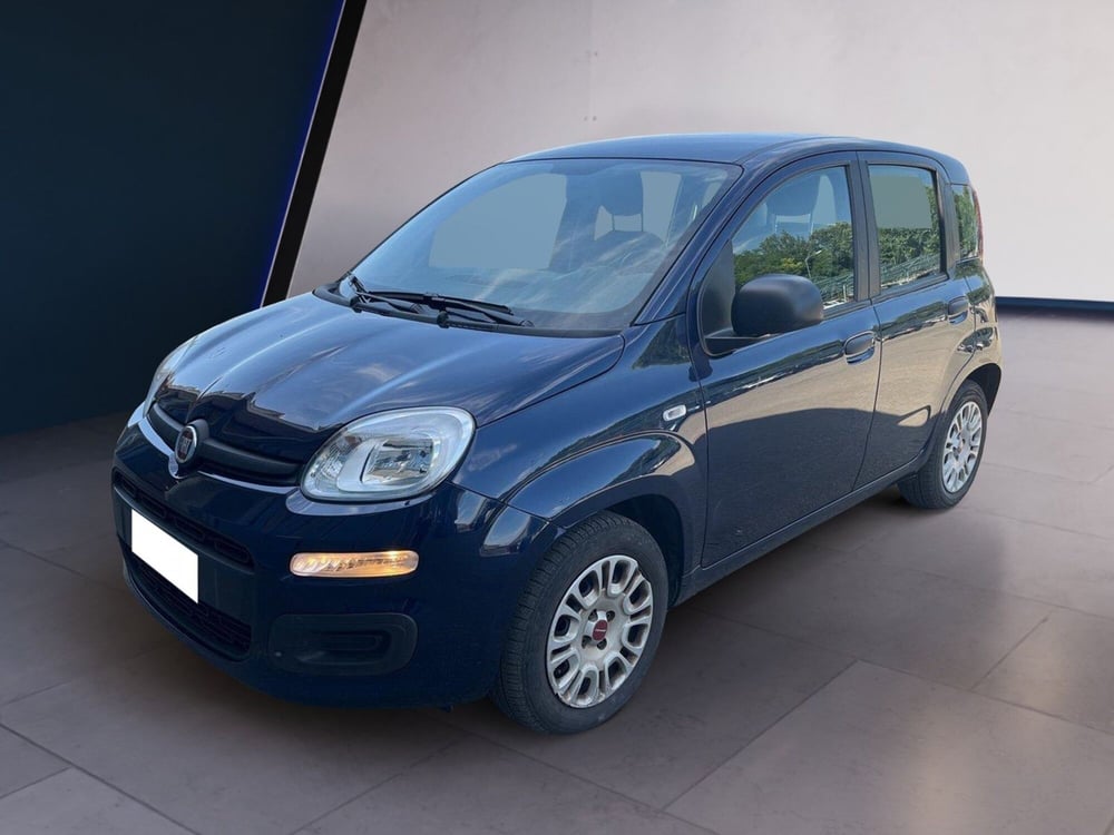 Fiat Panda usata a Torino (2)