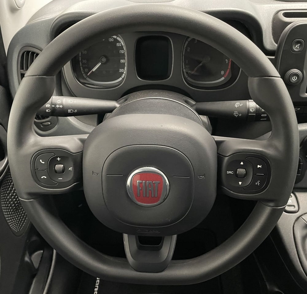 Fiat Panda Cross usata a Novara (15)