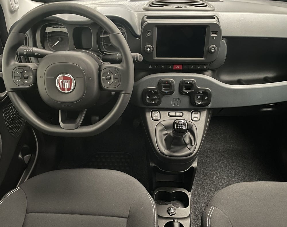 Fiat Panda Cross usata a Novara (11)