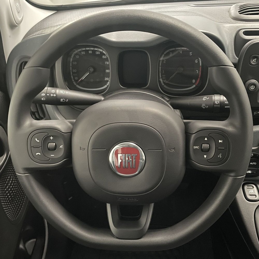 Fiat Panda Cross usata a Novara (14)