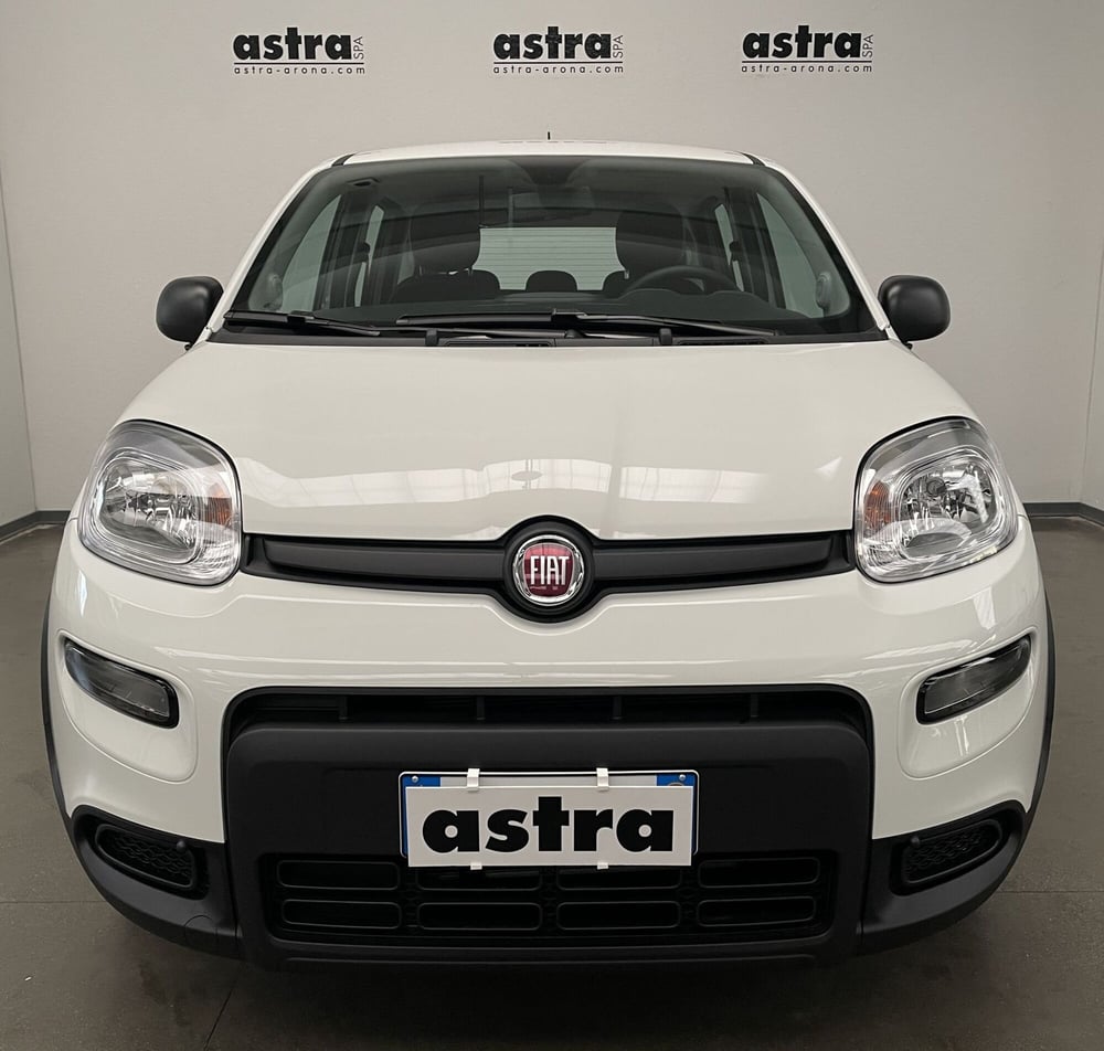 Fiat Panda Cross usata a Novara (20)