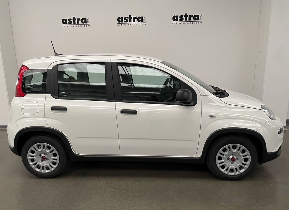 Fiat Panda Cross usata a Novara (3)