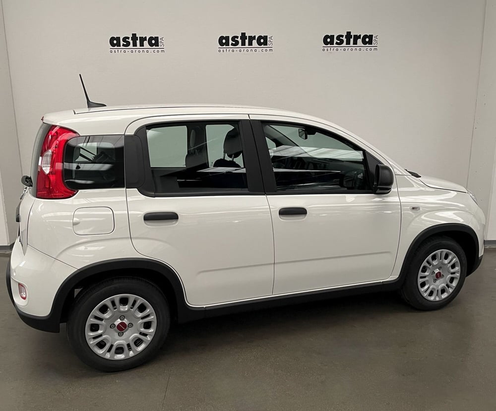 Fiat Panda Cross usata a Novara (4)