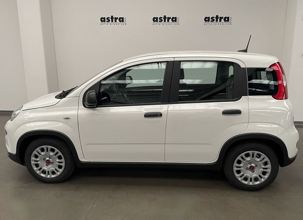 Fiat Panda Cross usata a Novara (7)