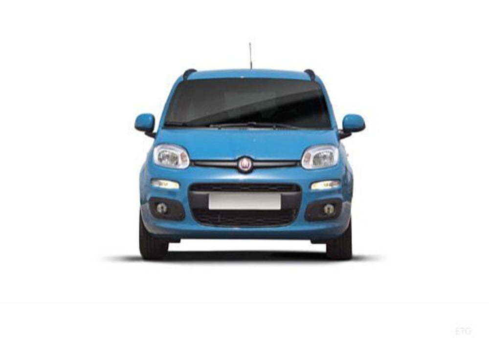 Fiat Panda usata a Potenza (9)