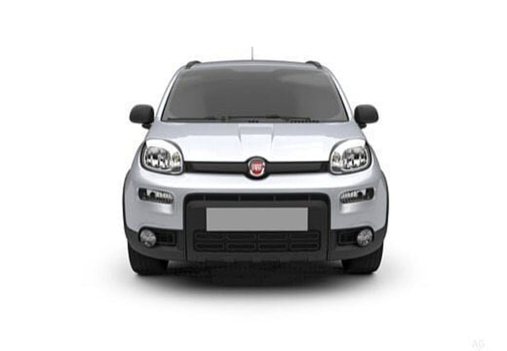 Fiat Panda usata a Potenza (10)
