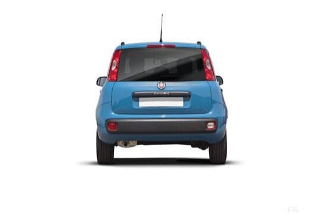 Fiat Panda usata a Potenza (11)