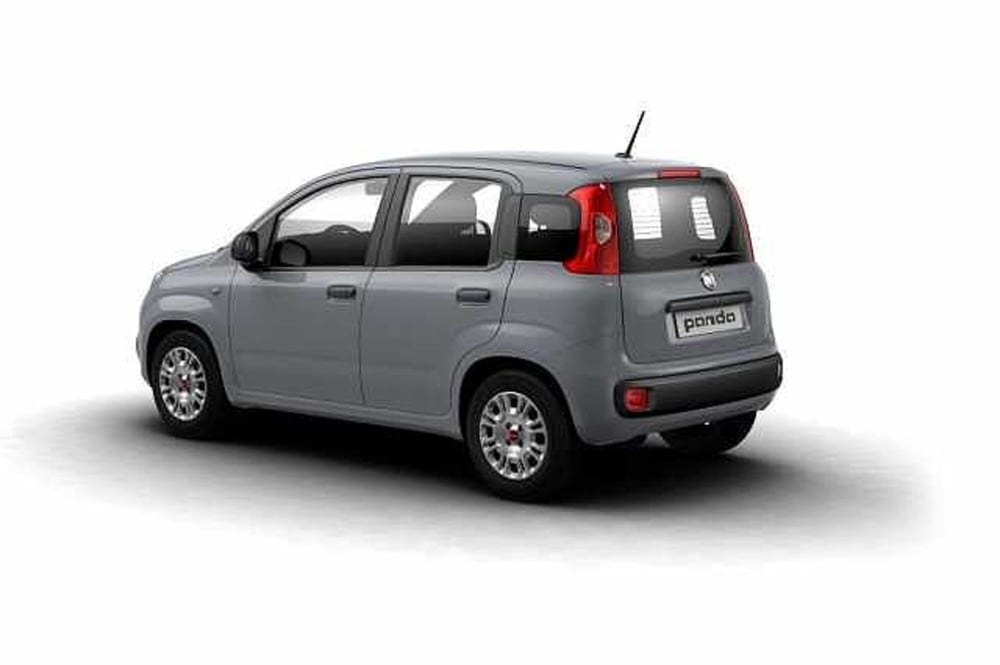 Fiat Panda usata a Potenza (2)