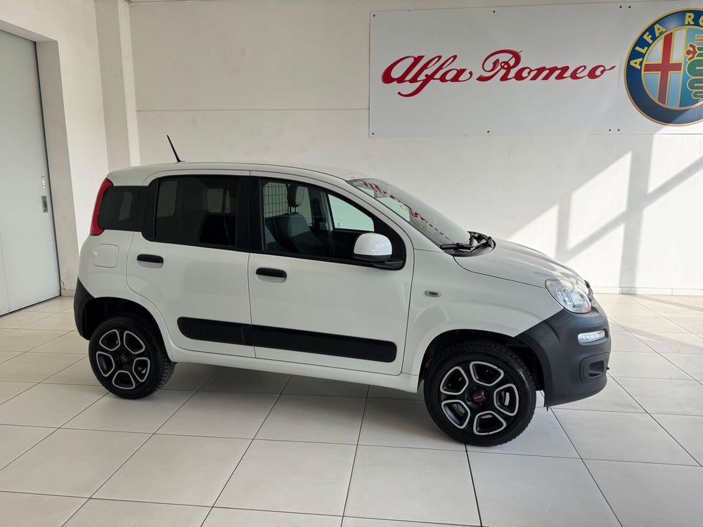 Fiat Panda usata a Reggio Emilia (4)