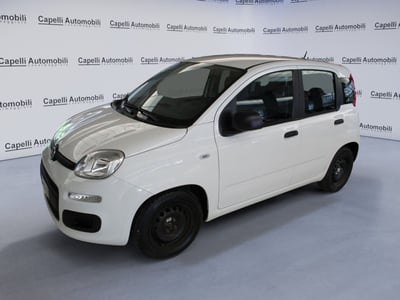 Fiat Panda Cross Cross 1.0 FireFly S&amp;S Hybrid del 2021 usata a Casalmaggiore