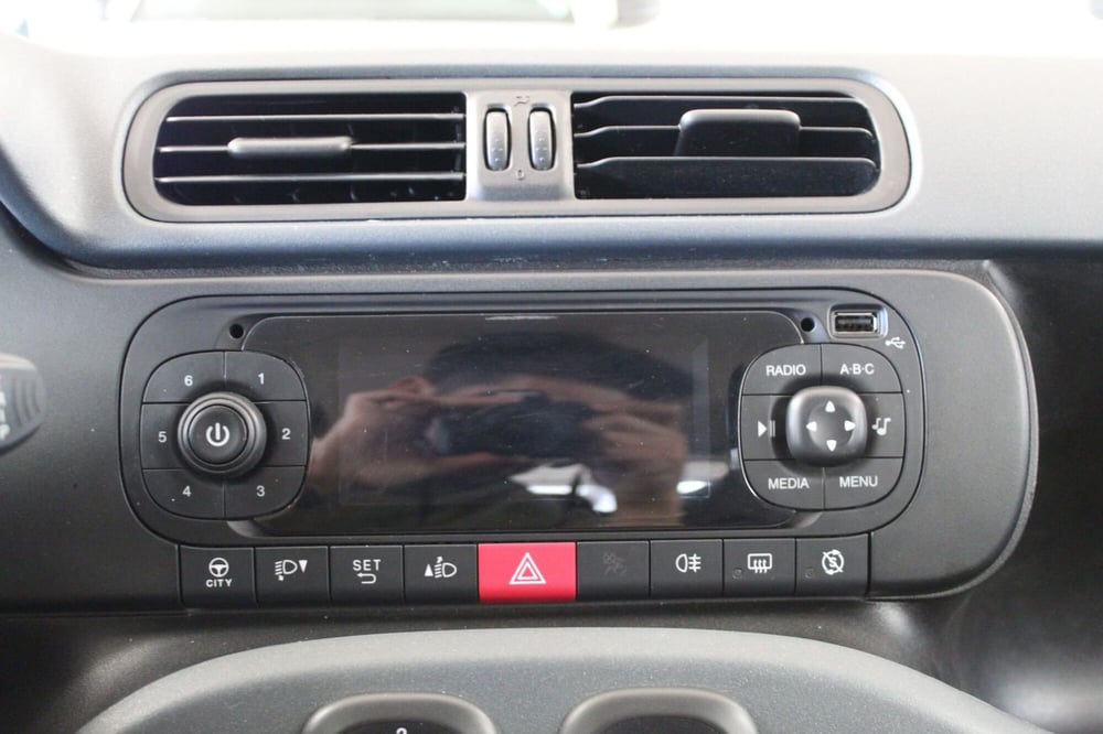 Fiat Panda Cross usata a Cremona (11)