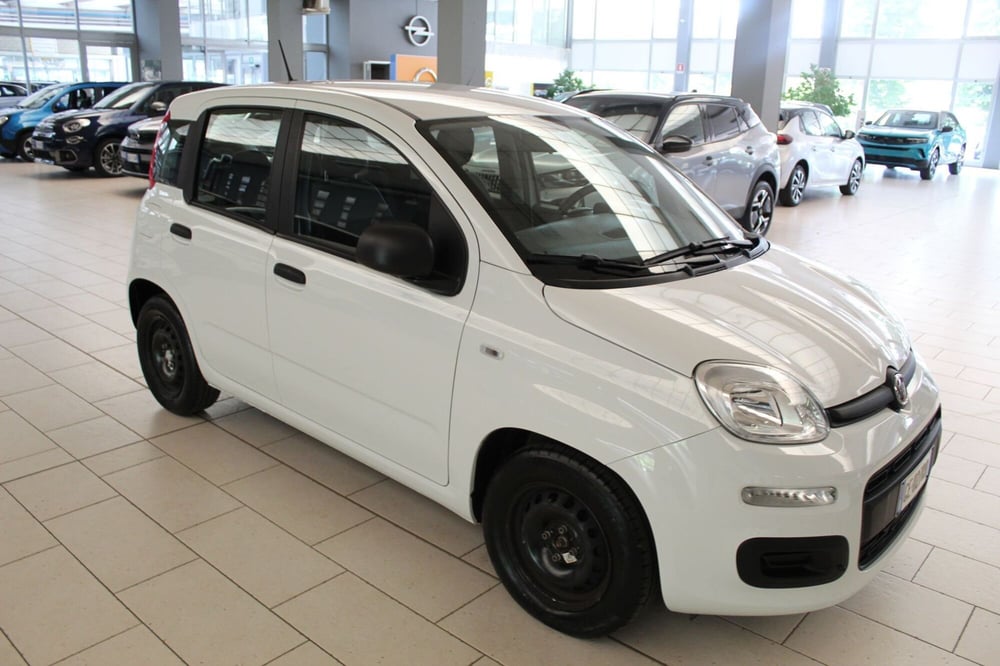 Fiat Panda Cross usata a Cremona (2)