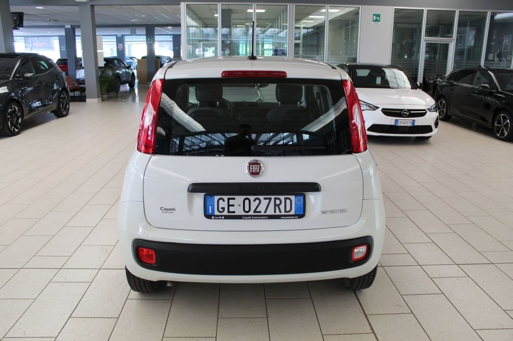 Fiat Panda Cross usata a Cremona (4)