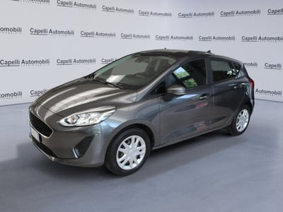 Ford Fiesta 1.1 75 CV GPL 5 porte Business del 2021 usata a Casalmaggiore