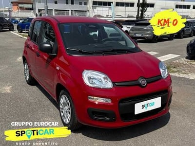 Fiat Panda 1.2 nuova a Bracciano