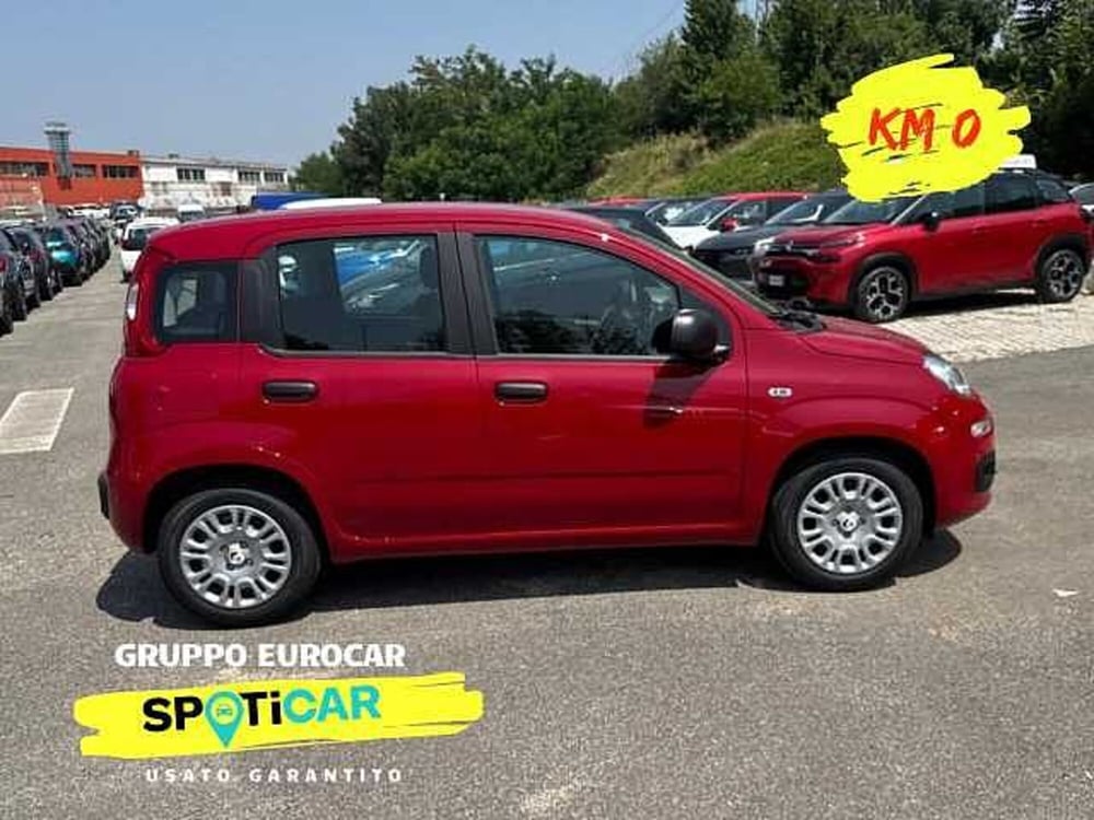 Fiat Panda nuova a Roma (6)
