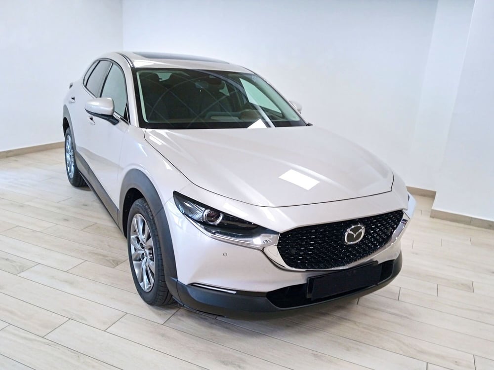 Mazda CX-30 usata a Torino