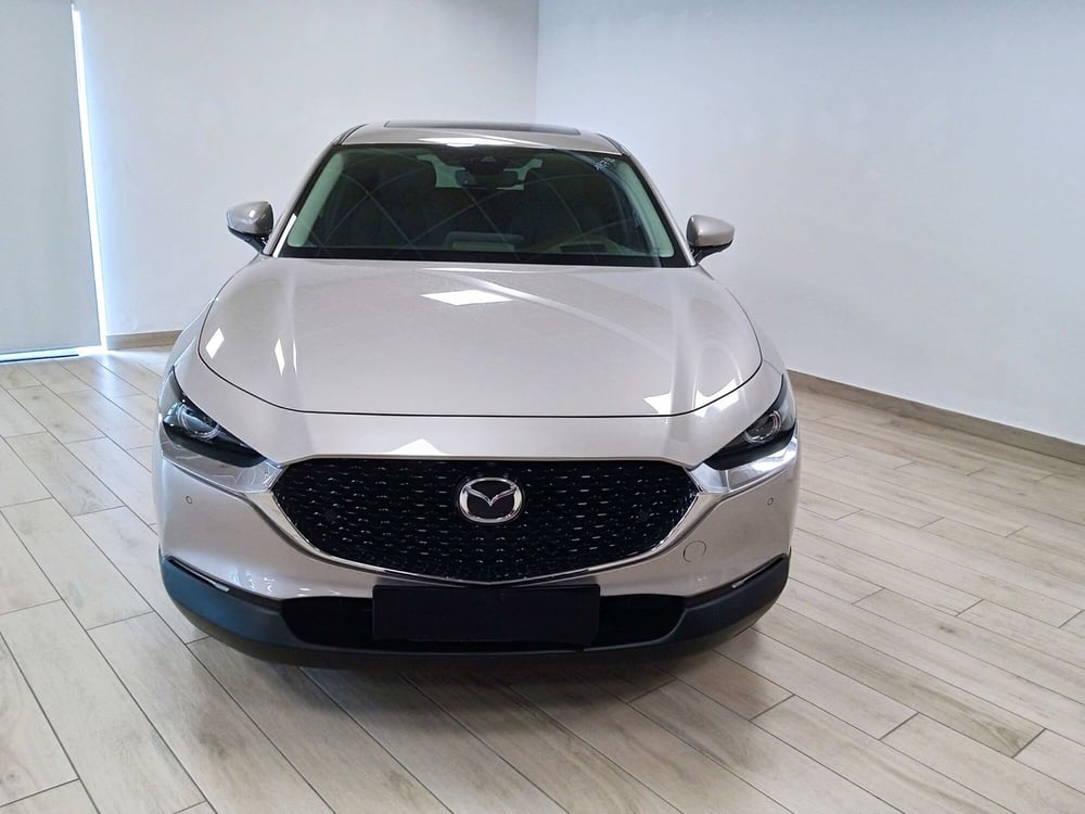 Mazda CX-30 usata a Torino (2)