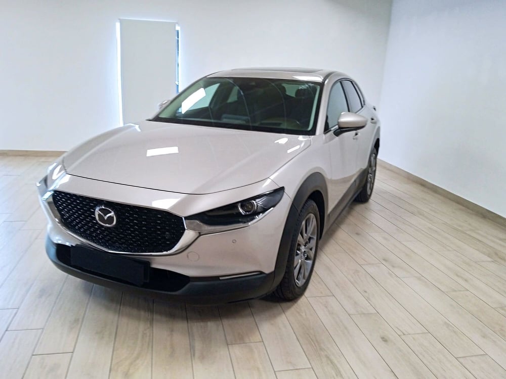 Mazda CX-30 usata a Torino (3)