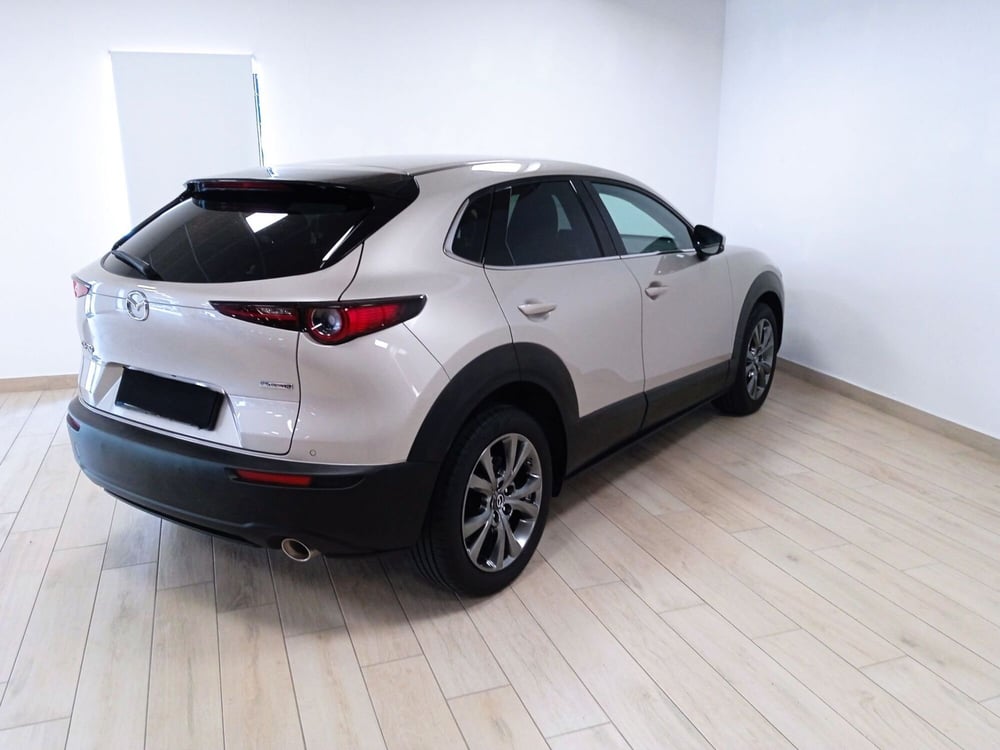 Mazda CX-30 usata a Torino (6)