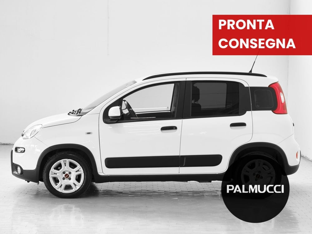 Fiat Panda usata a Prato (2)