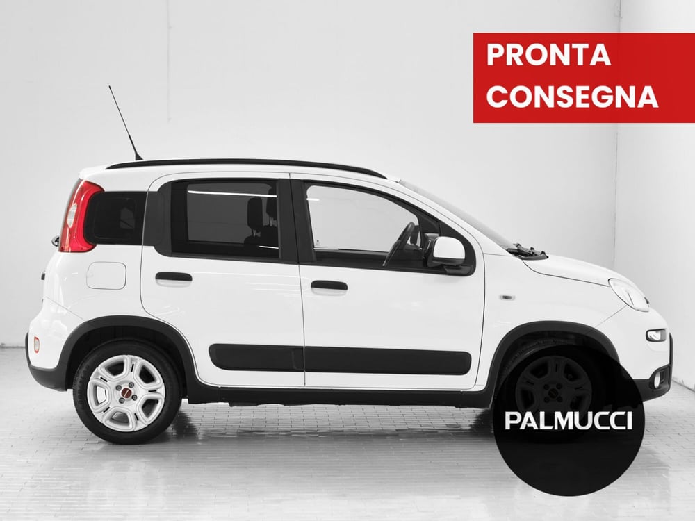 Fiat Panda usata a Prato (3)
