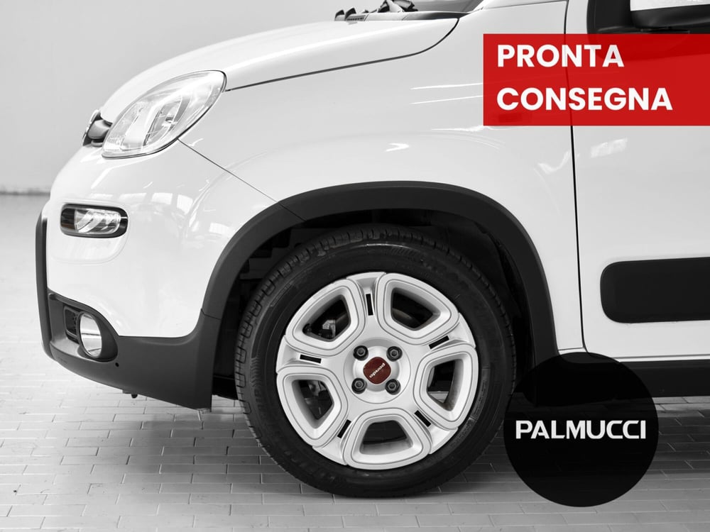 Fiat Panda usata a Prato (5)