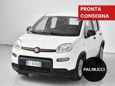 Fiat Panda Cross Cross 1.0 FireFly S&amp;S Hybrid del 2024 usata a Prato