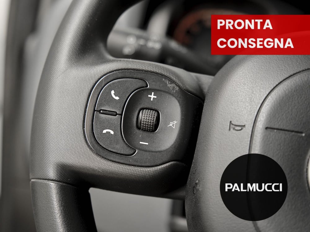 Fiat Panda Cross usata a Prato (12)