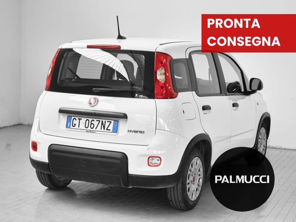 Fiat Panda Cross usata a Prato (2)