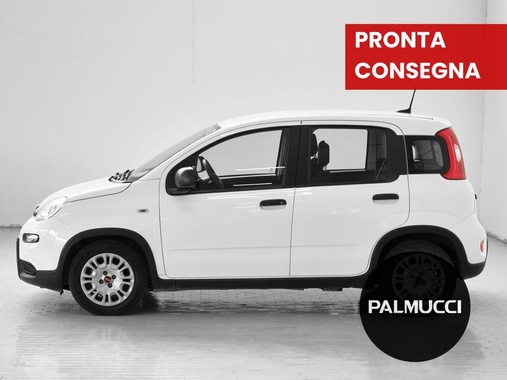Fiat Panda Cross usata a Prato (3)