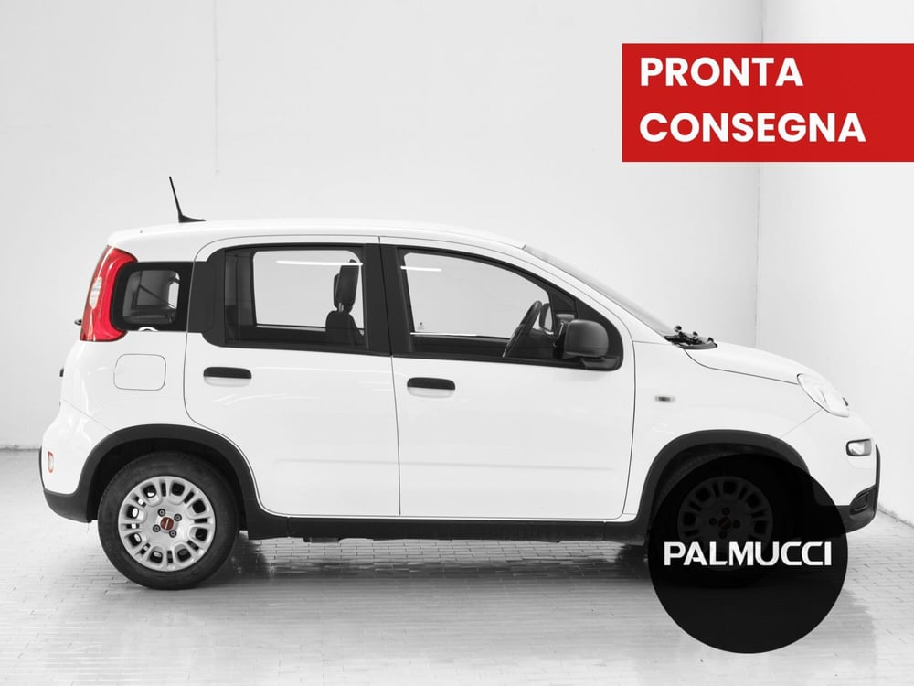 Fiat Panda Cross usata a Prato (4)