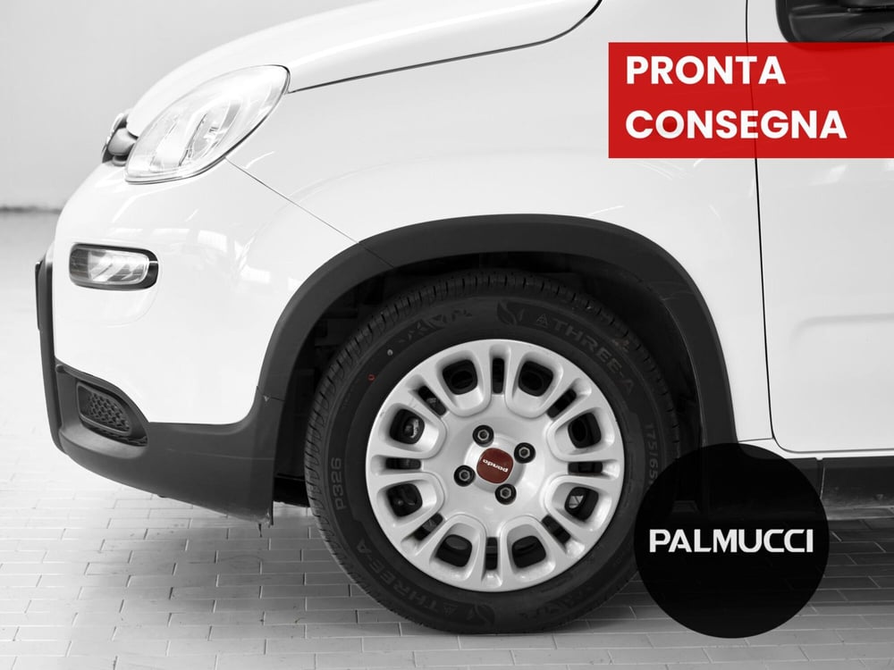 Fiat Panda Cross usata a Prato (5)